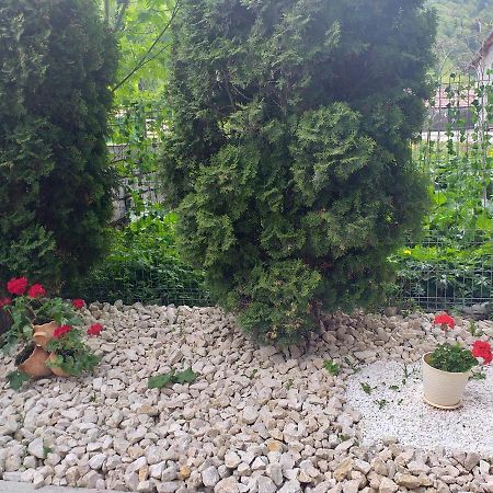 Miraj Hotel Azuga Kültér fotó