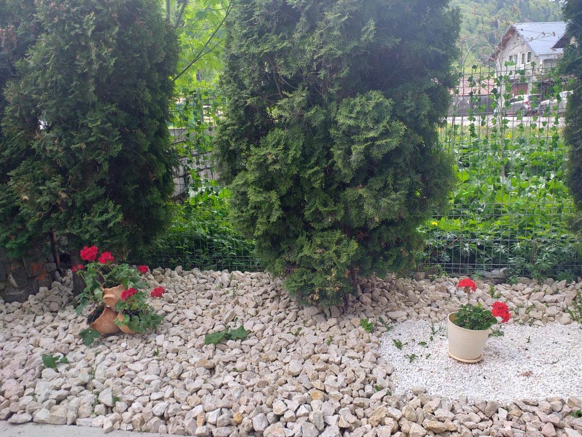 Miraj Hotel Azuga Kültér fotó