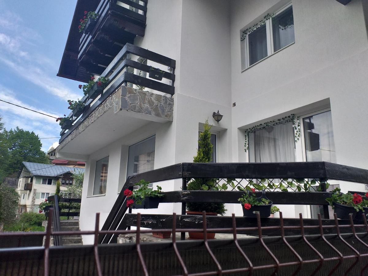 Miraj Hotel Azuga Kültér fotó